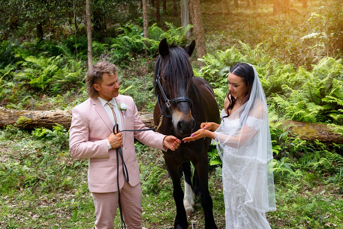 horse photos glenworth valley bride and groom 