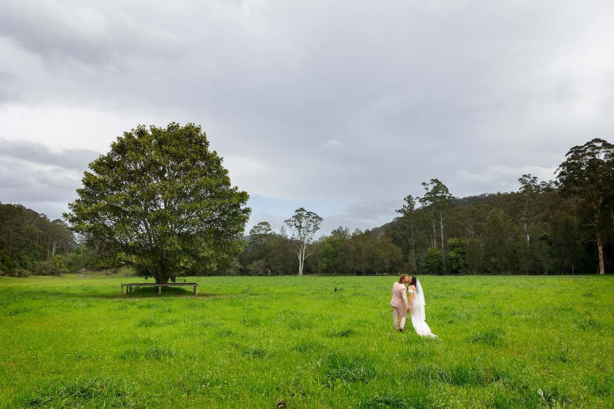 bride and groom photos in the paddocks